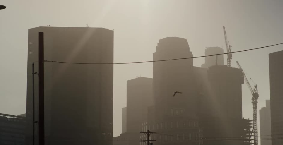 A bird flies off the power line near a city