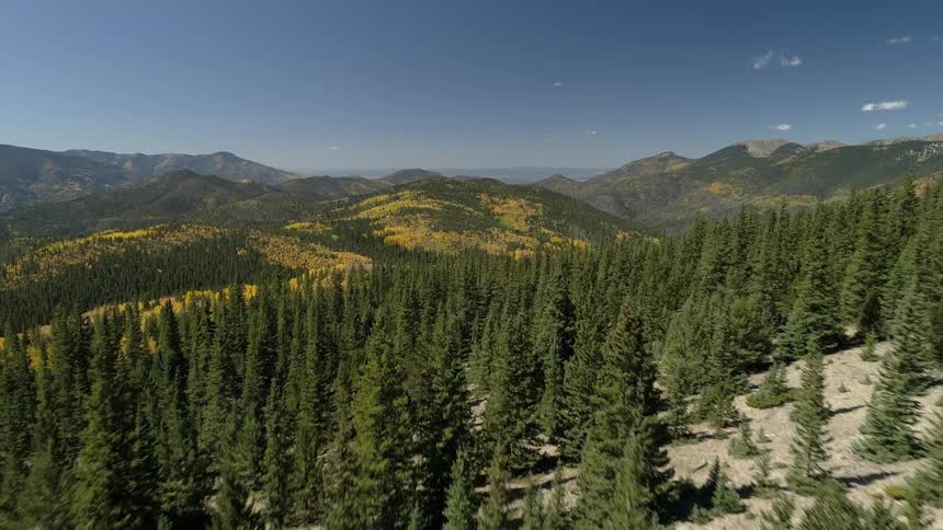 The field is bare leading up to a forest