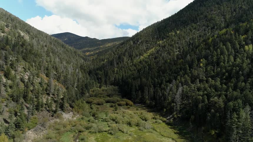 Meadow in between mountain forest on cloudy day