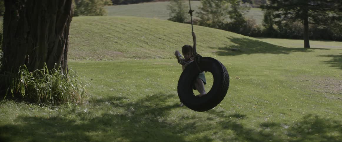Two children are playing on a tire swing on a sunny day