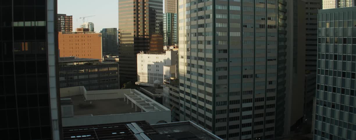Buildings in the business section of a city