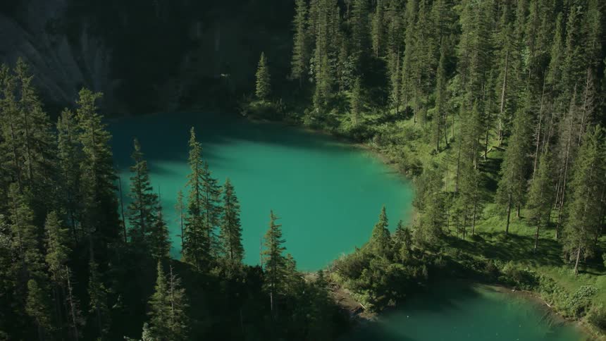 A lake sits in the middle of this forest with tall trees