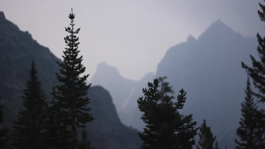 Trees against the background of mountains on a hazy day