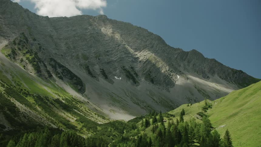View of tree covered grassy mountains