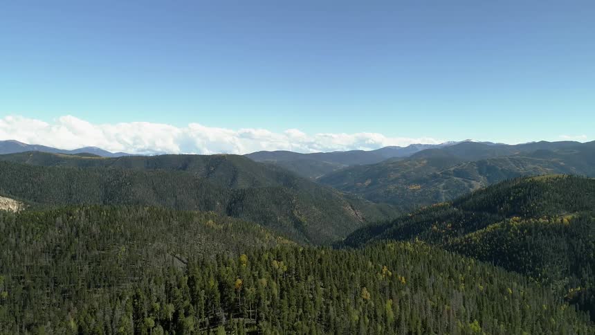 Forest of green trees in the mountains on cloudy day