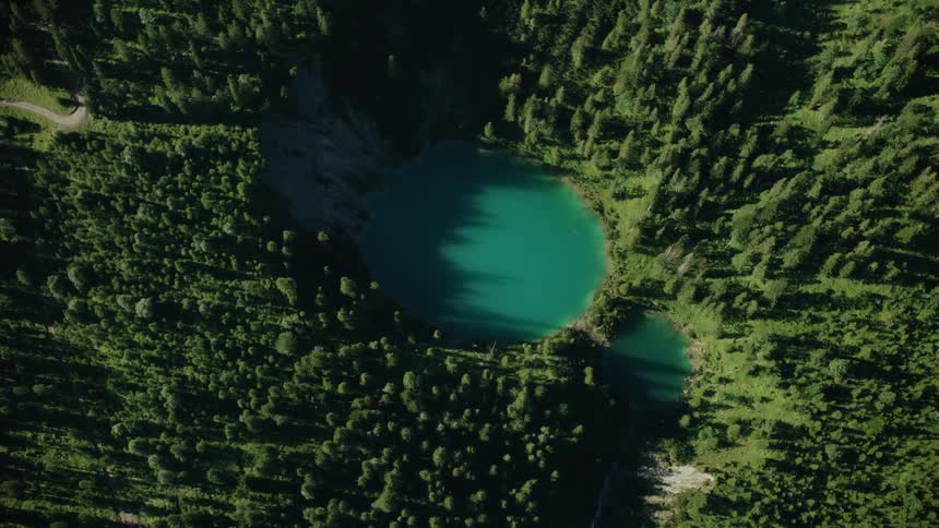 Two small pools of water lead off a trail in the forest