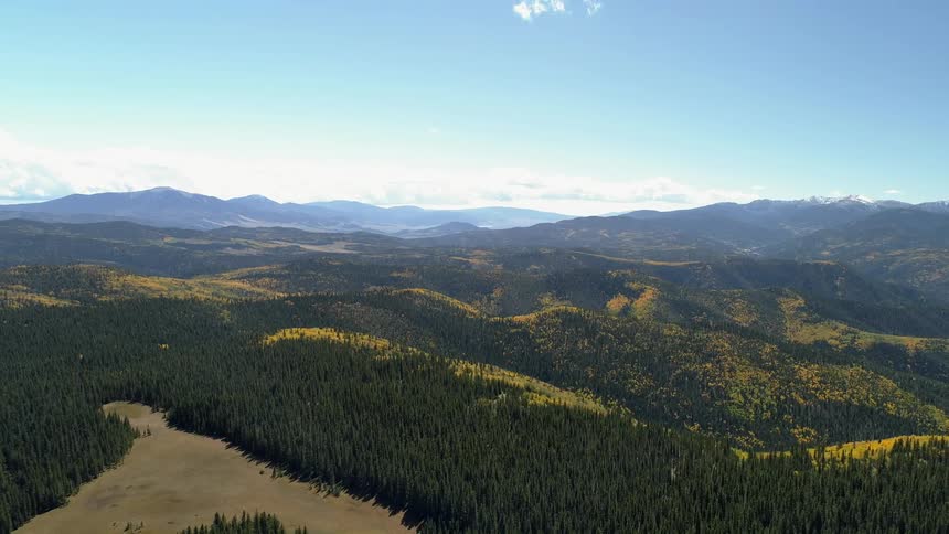 Forest tree tops on hills and mountains