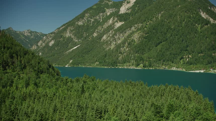 A forest near a river