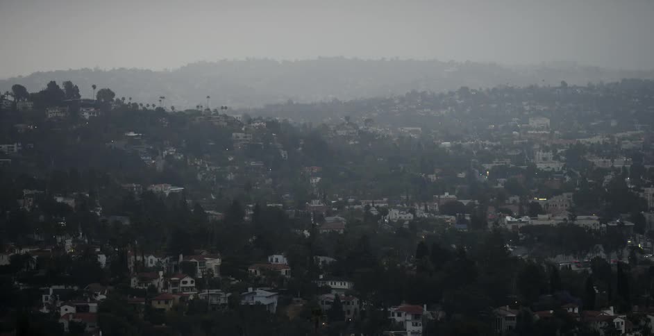 A city full of trees on a foggy day