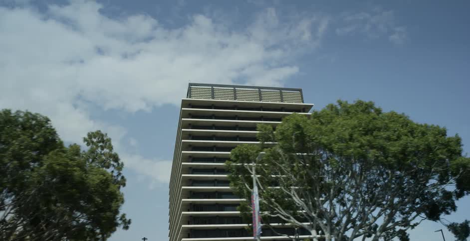 Trees in front of a tall building