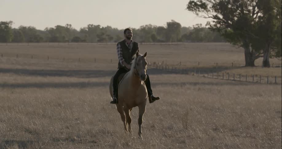 A man rides a horse in a field