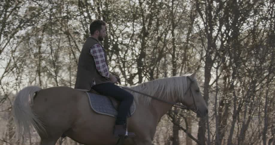 Man rides a horse in the country