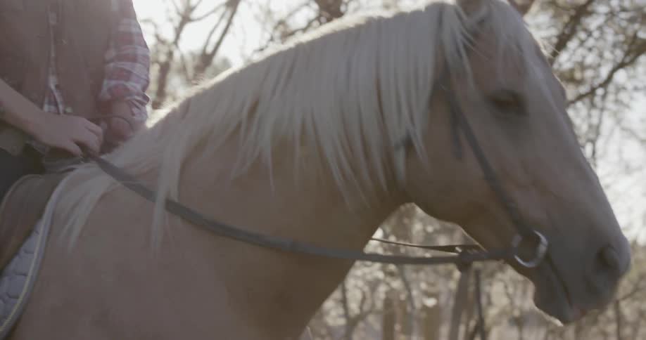 A man smiles and holds the reins while sitting on a horse