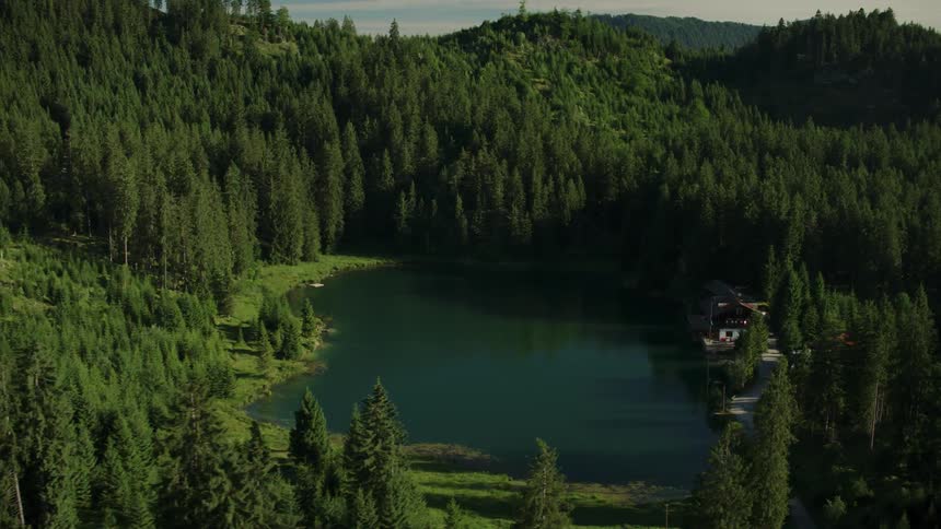 The tall trees hide a pond in the middle