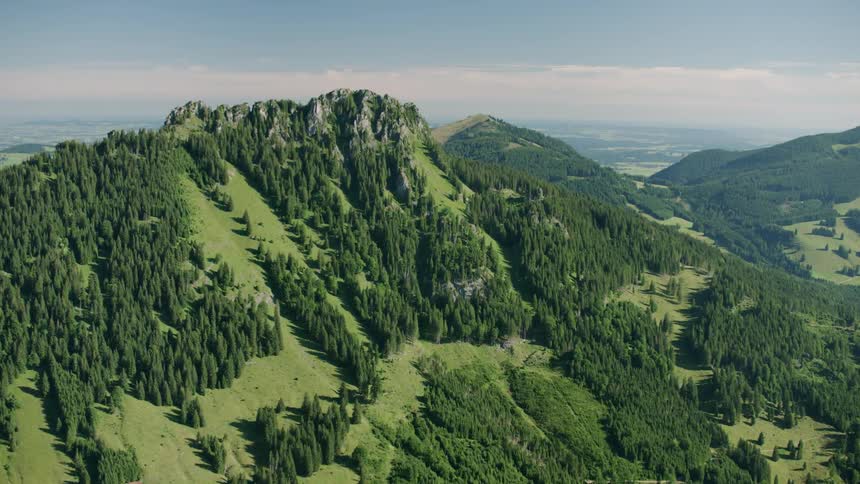 View of grassy tree covered mountains