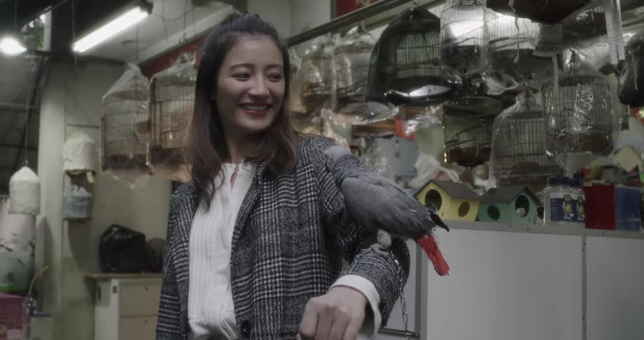 A woman in a shop has a parrot on her arm