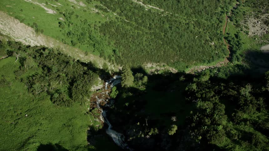 The top of the mountain is lined with green trees