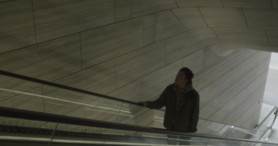 A man watches another man ride the escalator up
