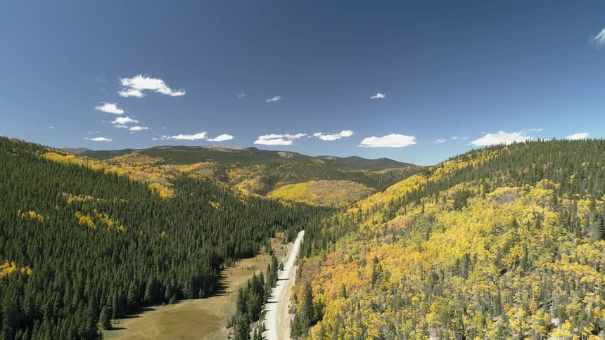 View of hilly landscape covered in trees