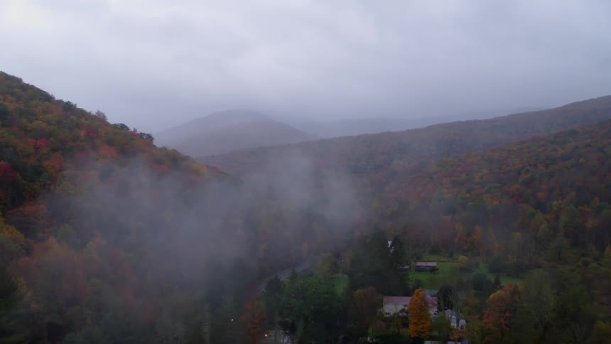 Fog hangs over the low area of a mountain forest
