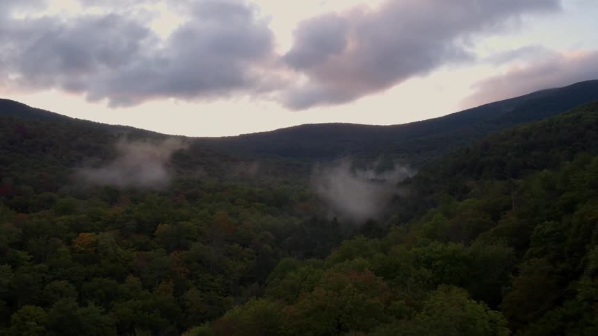 Smoke is rising in two different points in this forest