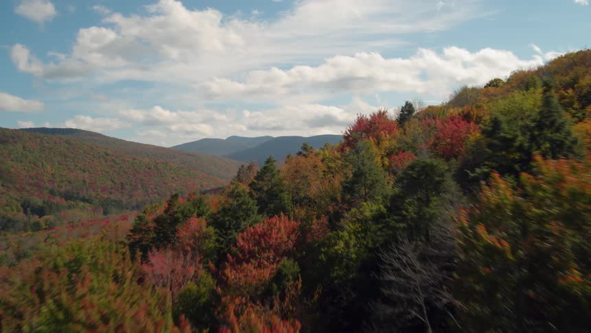 The trees are red yellow and green along these hills