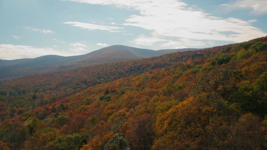 The vast mountain range has multi colored trees covering it