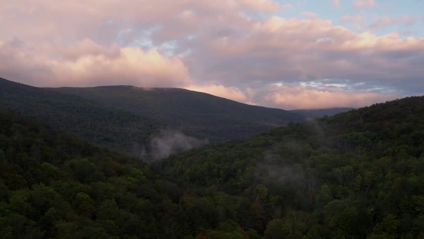 Forest of green trees in the mountains on cloudy day