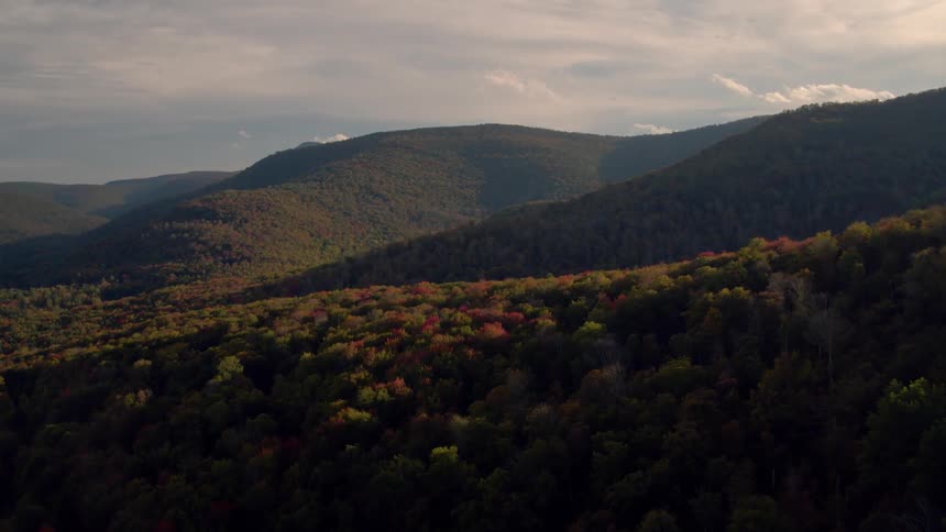 The hills on this mountain are completely covered with trees