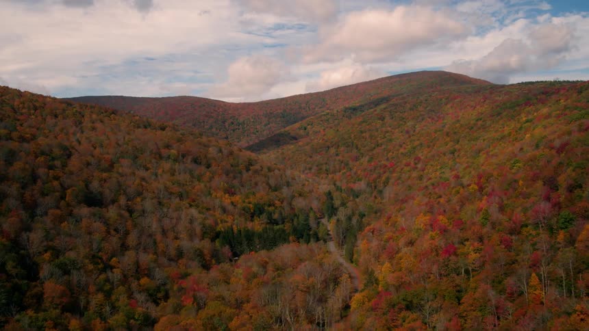 Mountain slopes covered with trees in autumn