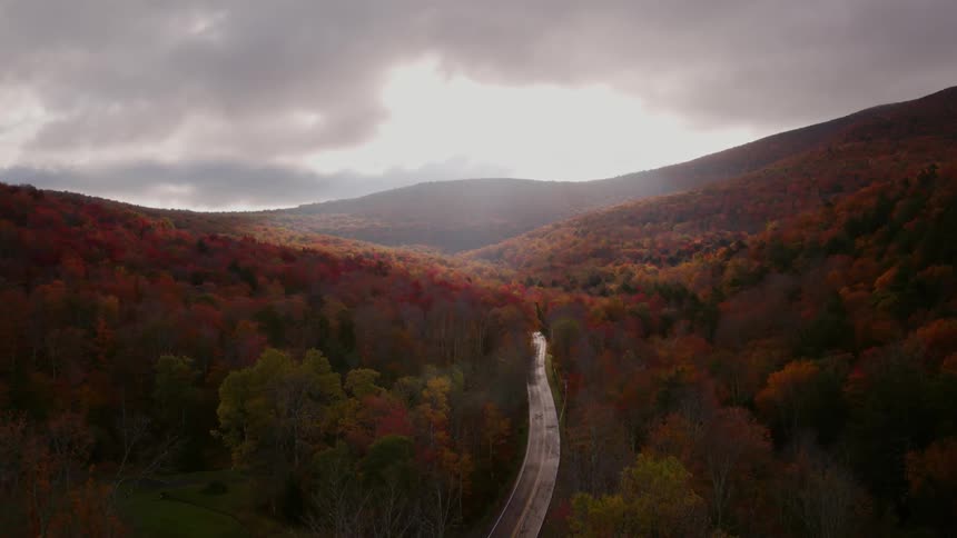 A long road runs through the forest below