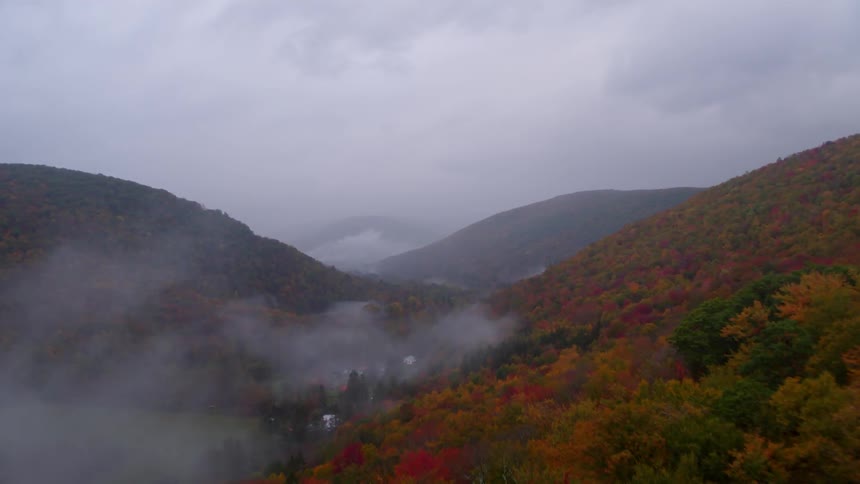 Fog rolls over the trees in this mountain range