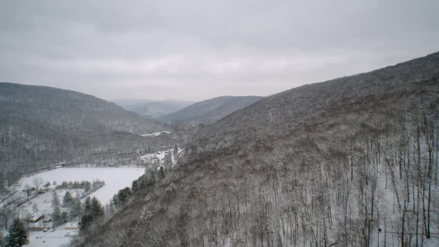 Mountain forest of bare trees covered in snow on cloudy evening