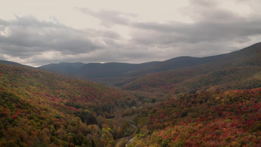 The valley is vast and full of tall trees