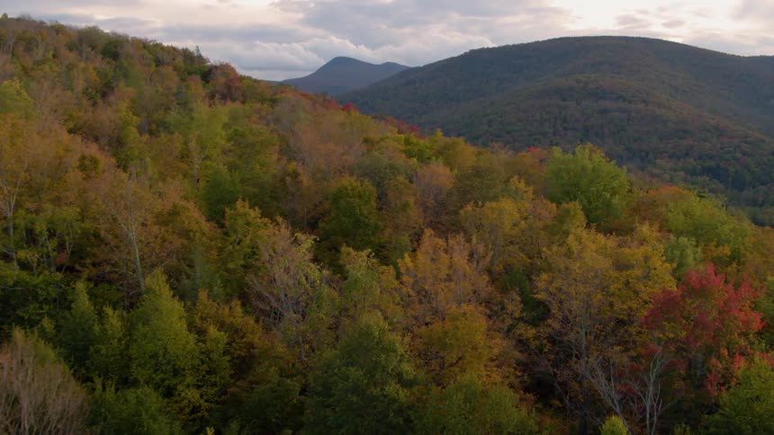 A mountainside is covered with color changing trees in the fall