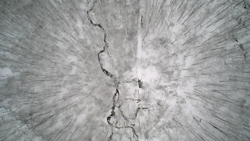 A brook running through a winter forest