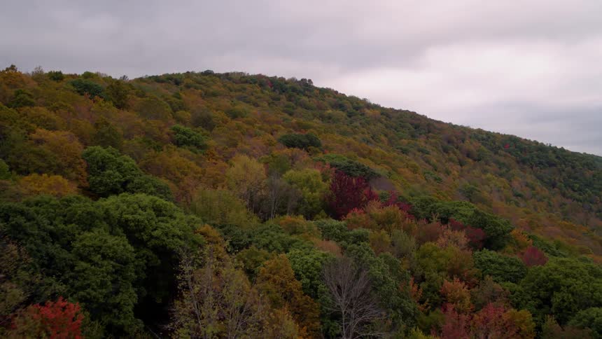 The hills are covered with many tall trees