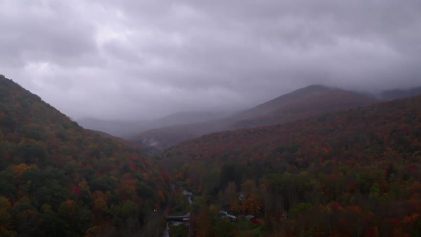 Colorful autumn trees in forest on cloudy evening