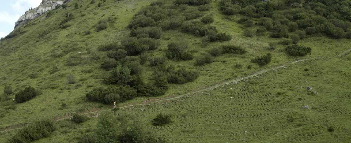 A man is running on a small trail over a green hillside