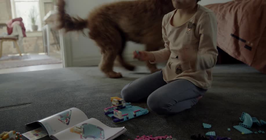 A boy plays with legos on a bedroom floor as a dog runs by
