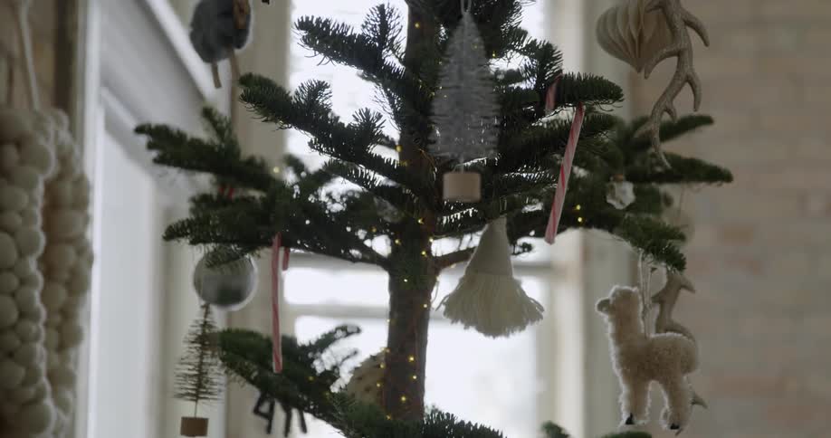 Ornaments hang from a christmas tree