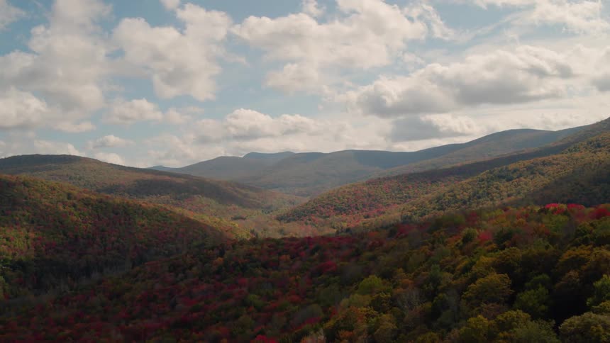 Mountain forest of colorful autumn trees on cloudy day