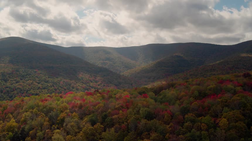 Colorful autumn trees in mountain forest on cloudy day