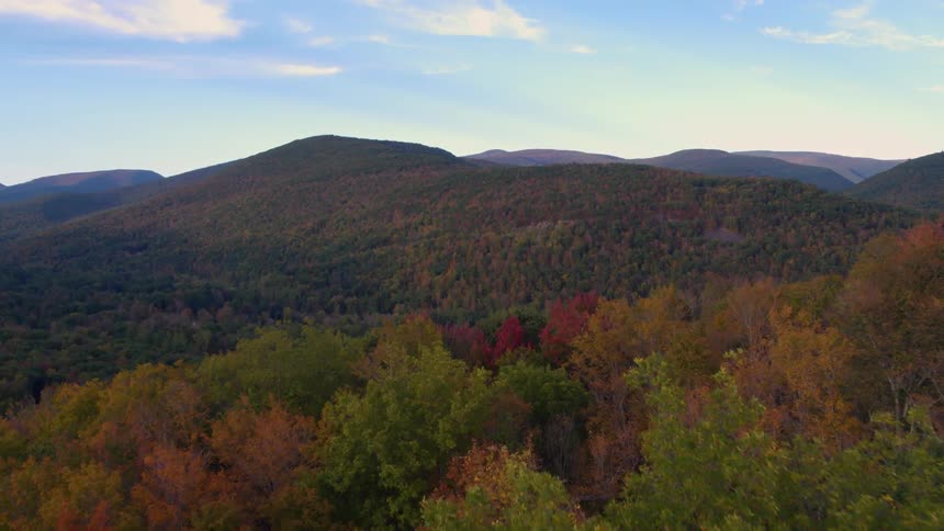 Mountain forest of colorful autumn trees
