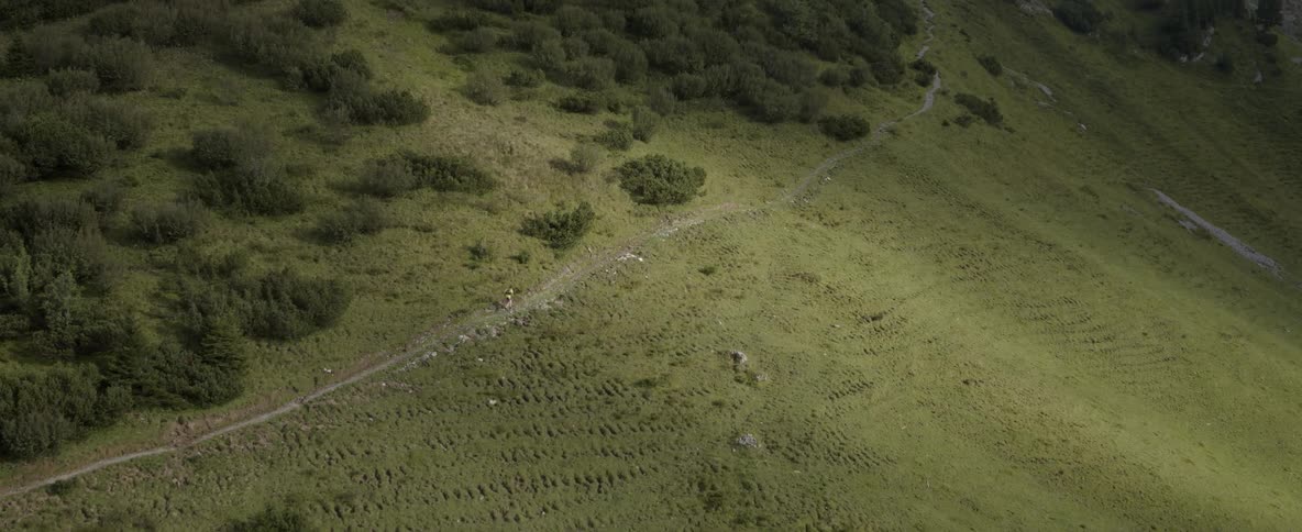 A man runs along a green hillside