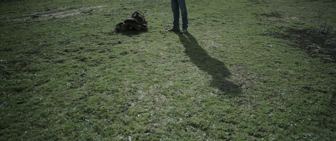 A man stands in a grassy field