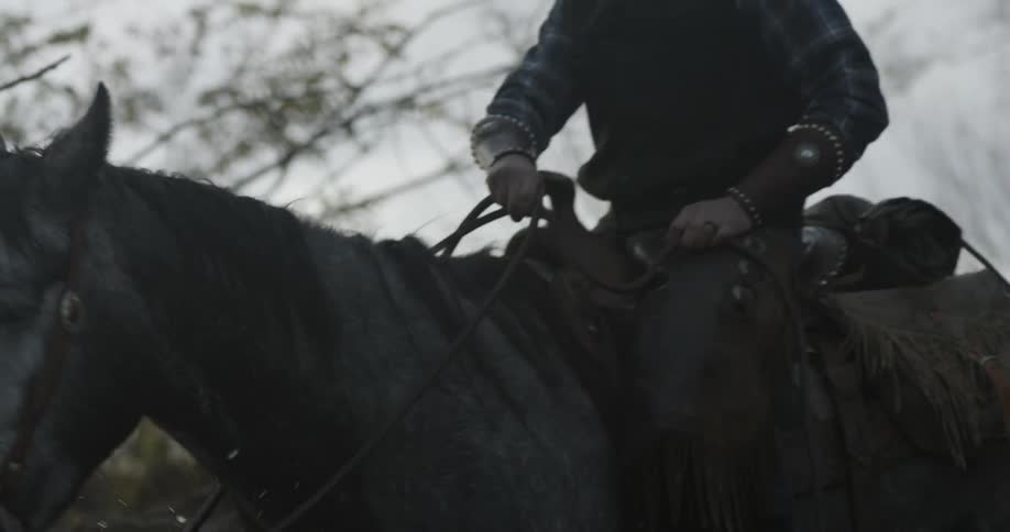 A horse wades through the water slowly