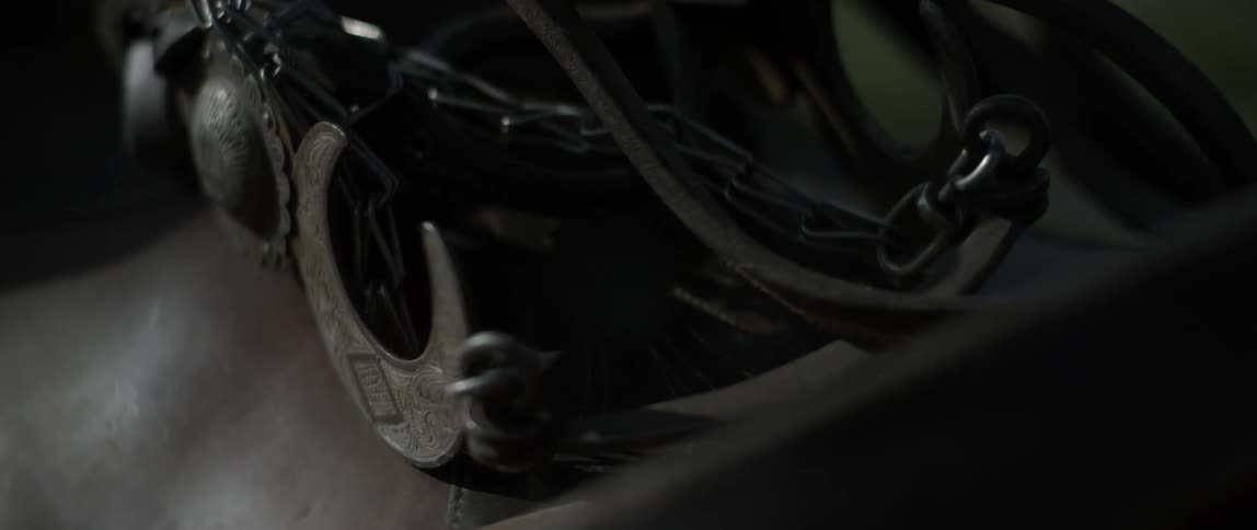 Horse riding equipment is laid on a saddle