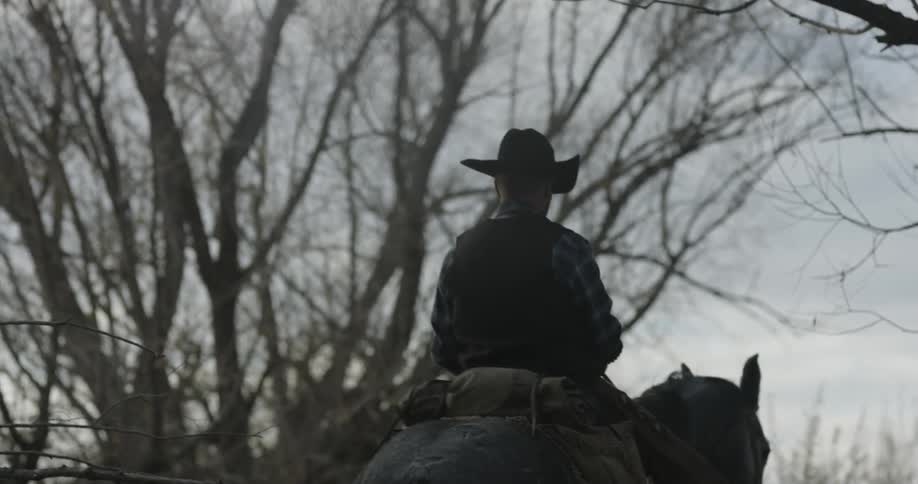 A man is riding his horse in the creek