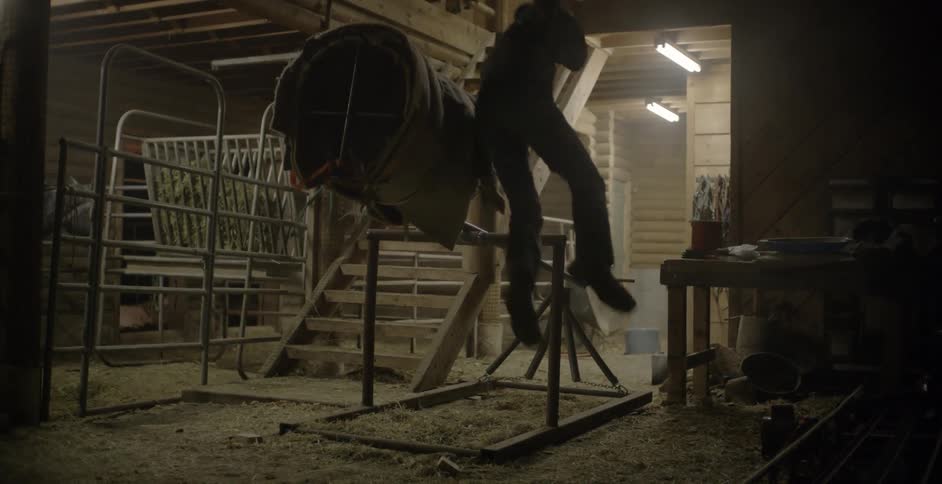 Cowboy dismounting a mechanical bull in a barn